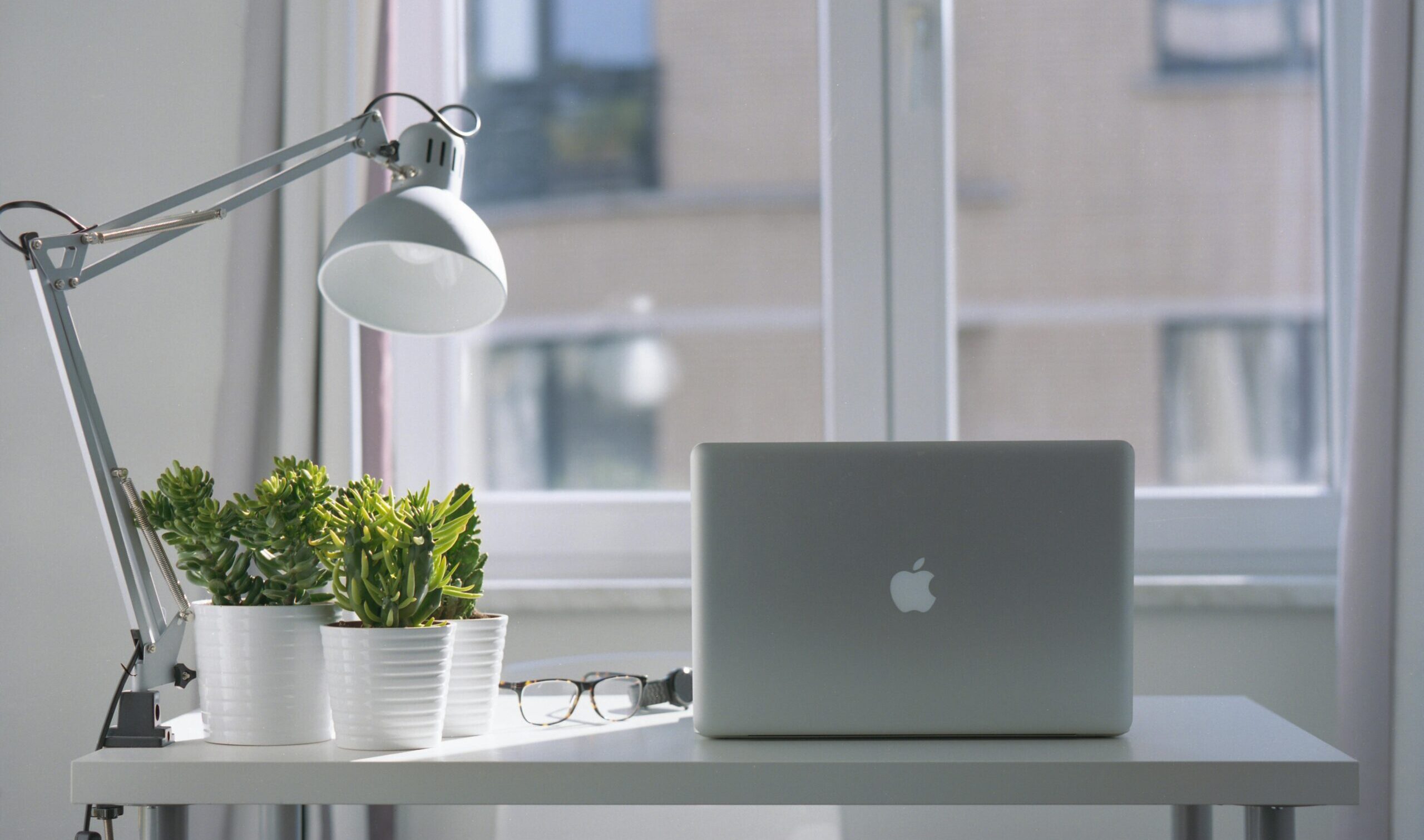 Laptop on wooden desk with plant symbolizing sustainability